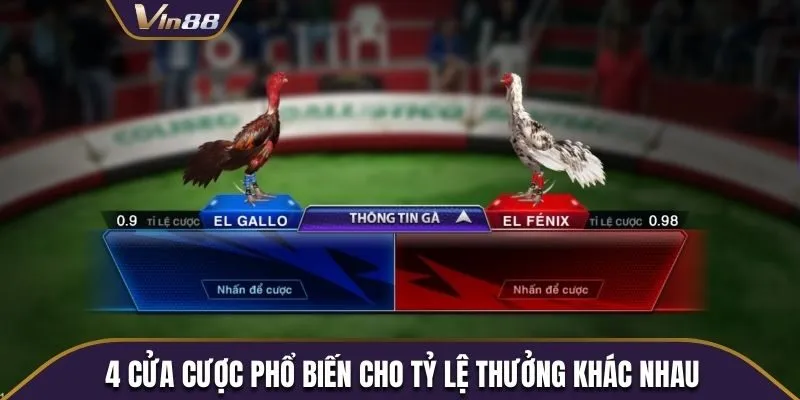 4 cửa cược phổ biến cho tỷ lệ thưởng khác nhau