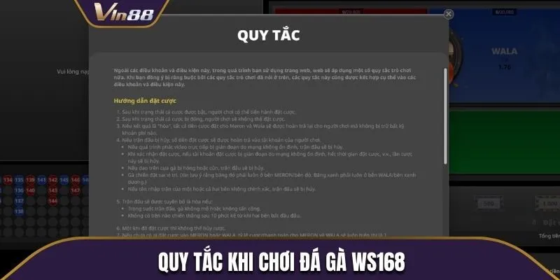 Các quy định khi trải nghiệm chọi kê WS168