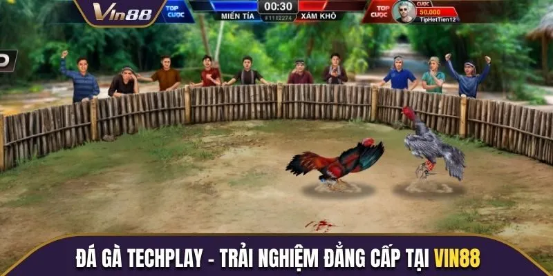 Đá gà Techplay