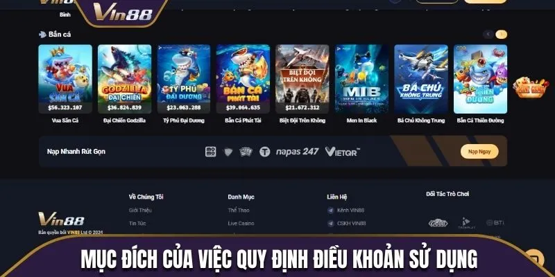 Mục đích của việc quy định điều khoản sử dụng