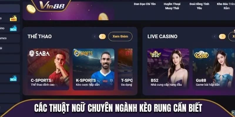 Tổng hợp các thuật ngữ chuyên ngành cần biết